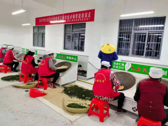 有关于金寨县：六安瓜片传统手工艺为乡村振兴增添活力的内容(1)