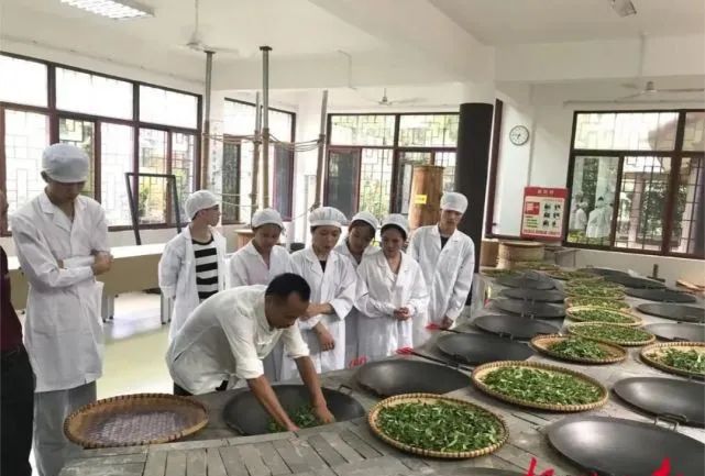关于六堡茶核心产区发挥“三原”优势发展茶产业观察的消息(3)