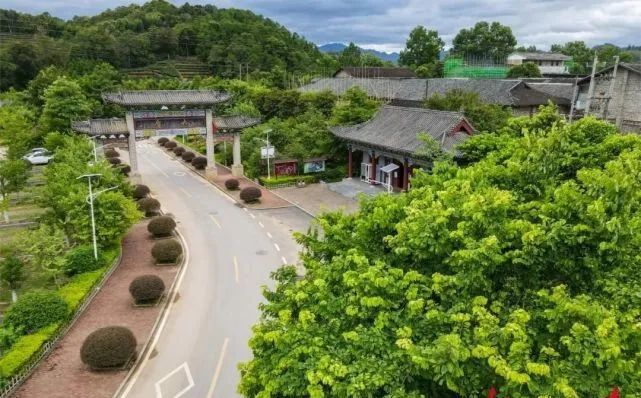 关于六堡茶核心产区发挥“三原”优势发展茶产业观察的消息