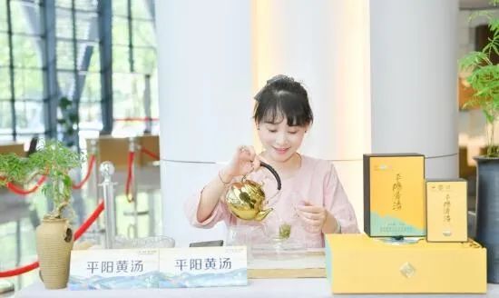 关于一杯平阳黄汤 香飘九州大地的信息