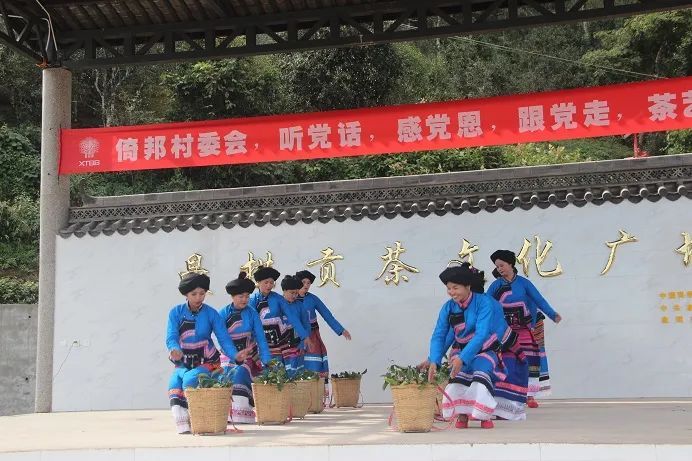 有关于倚邦彝乡比茶艺 贡茶之乡唱振兴的相关信息(1)