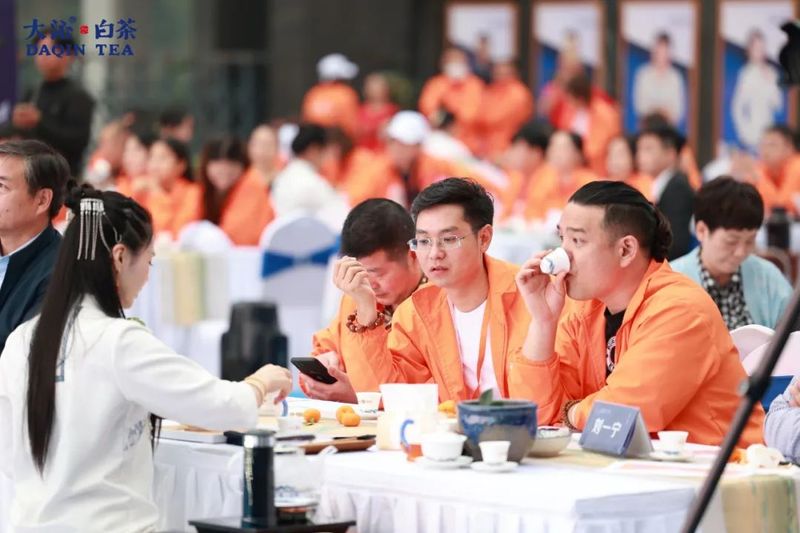 有关于大沁的内容(19)