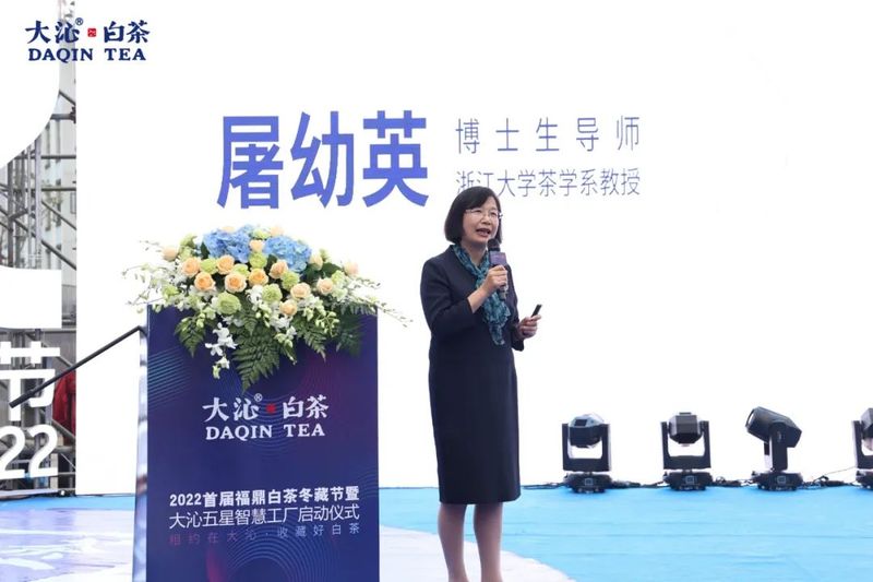 有关于大沁的内容(6)