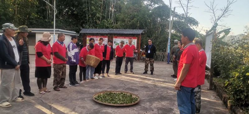 关于国庆乡和平村：开展茶叶管护技术培训 助力群众增产增收的相关信息(1)