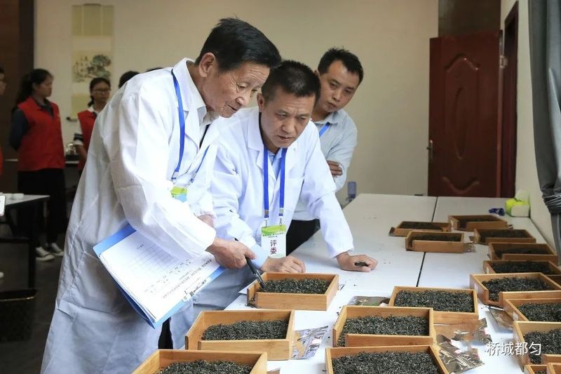 有关于都匀毛尖：“三绿透三黄”茶意绵长的相关信息(2)