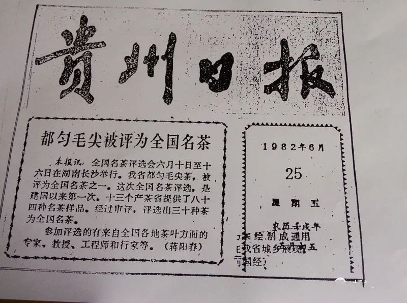有关于都匀毛尖：“三绿透三黄”茶意绵长的相关信息(5)