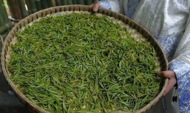 有关于“安吉一叶富一方”“被延期的茶博会”“来杯四川茶”“普洱茶伪大师现原形”的最新消息(1)