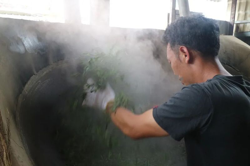 有关于“安吉一叶富一方”“被延期的茶博会”“来杯四川茶”“普洱茶伪大师现原形”的最新消息(8)