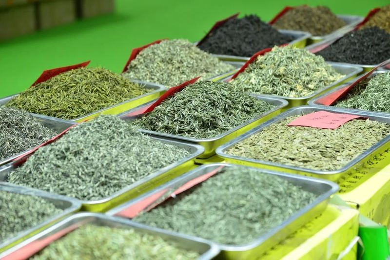有关于“安吉一叶富一方”“被延期的茶博会”“来杯四川茶”“普洱茶伪大师现原形”的最新消息(3)