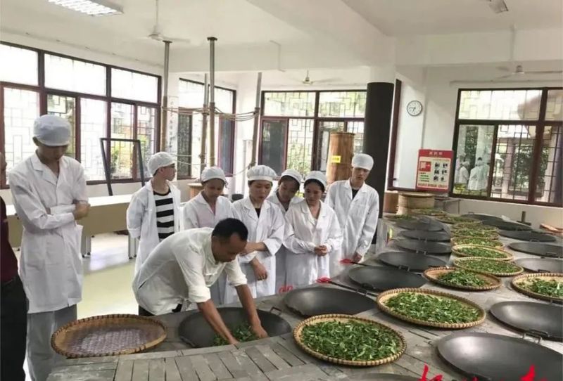 有关于乘借东风提升茶产区“造血能力” ，六堡茶核心产区发挥“三原”优势发展茶产业观察的资讯(3)