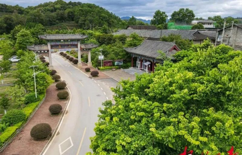 有关于乘借东风提升茶产区“造血能力” ，六堡茶核心产区发挥“三原”优势发展茶产业观察的资讯