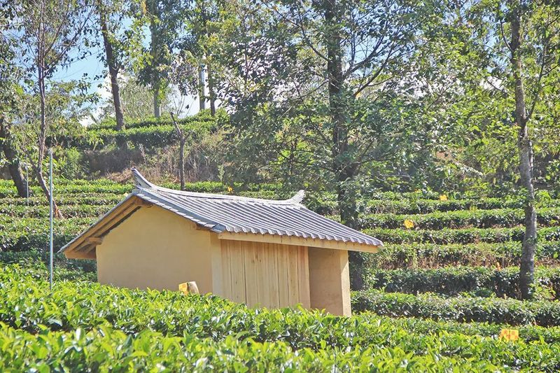 有关于昌宁翁堵：整体推进茶旅融合“一镇一品”建设的消息(3)