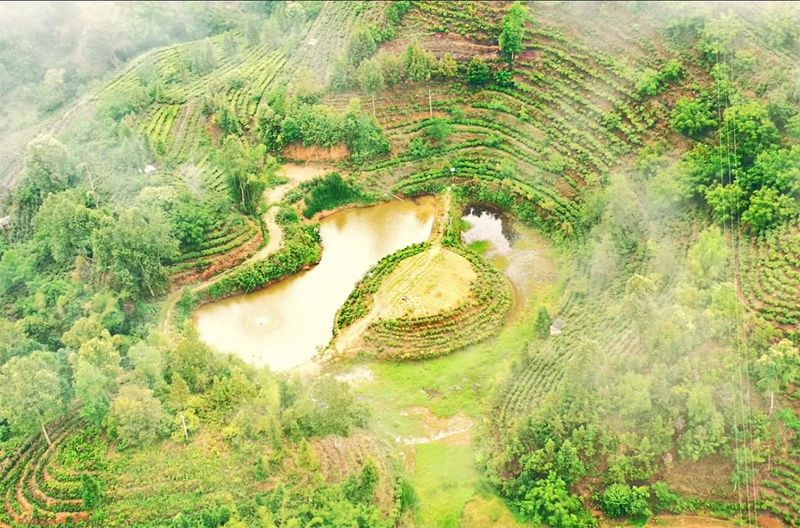 有关于昌宁翁堵：整体推进茶旅融合“一镇一品”建设的消息(4)