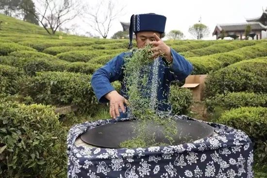 关于“都匀毛尖技工”助推茶产业高质量发展的信息(2)
