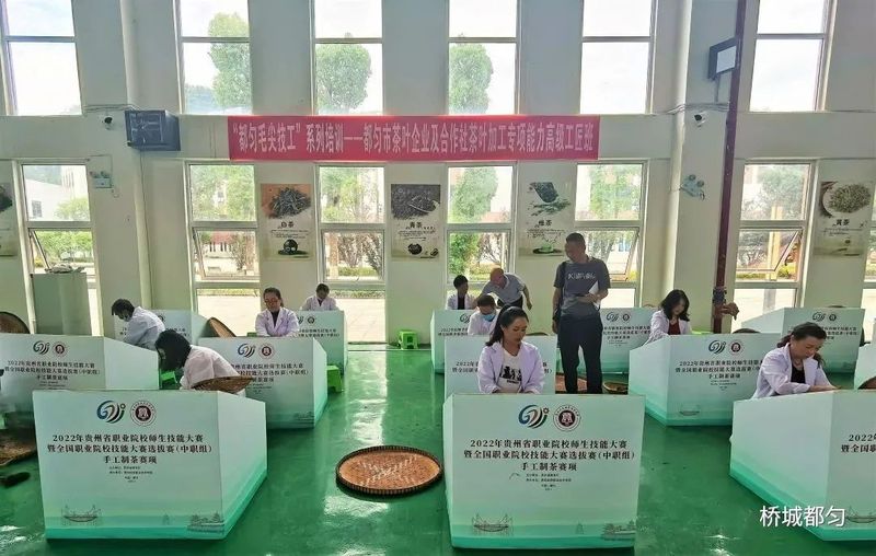 关于“都匀毛尖技工”助推茶产业高质量发展的信息(5)