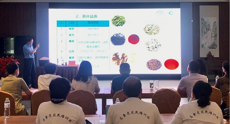 有关于助力崂山茶产业提质升级,青岛市崂山区开展高素质农民培育的消息(2)