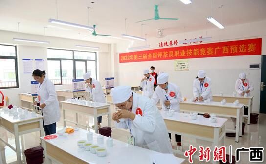 有关于广西提升评茶员职业技能 促茶产业持续健康发展的内容(1)