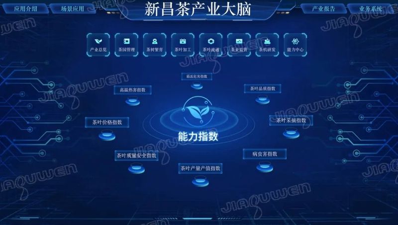 关于一杯好茶,万事新昌 ,新昌县茶企数字化管理系统正式落地的新闻(4)
