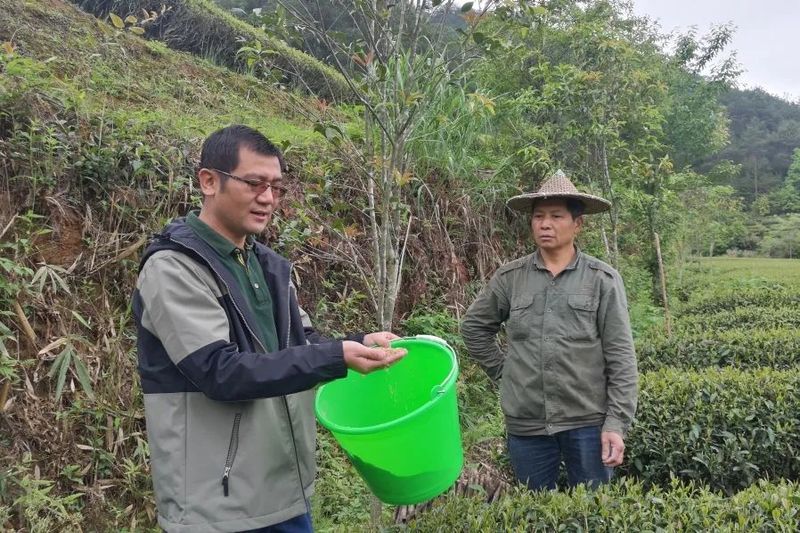 关于现代茶产业怎样才能拥有全球竞争力?的消息(3)