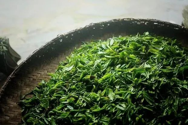 关于今天喝撒子哎?来杯四川茶!的资讯(4)