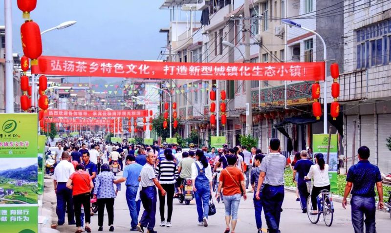有关于福建漳平南洋镇:从一度滞销到声名远扬,这里有属于水仙茶的故事!的相关信息(2)