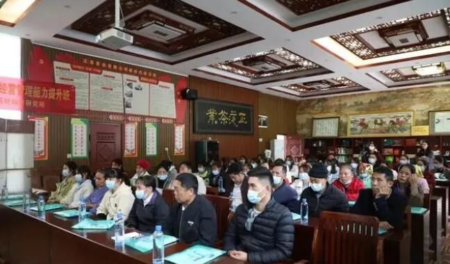 有关于凌云县现代茶产业经营管理能力提升班开班的新闻(2)