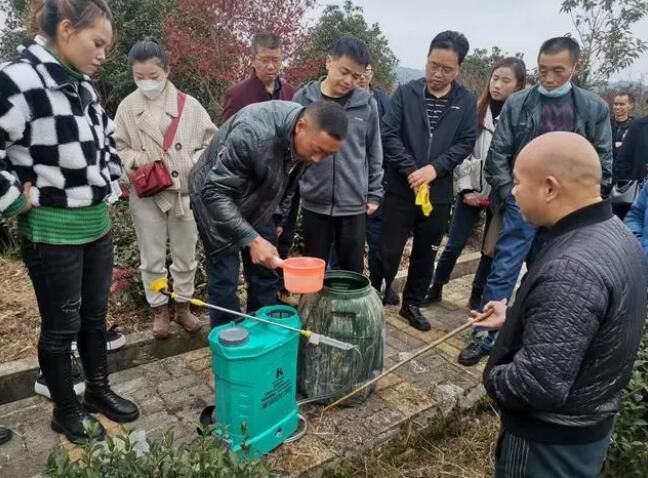 有关于贵阳市茶园冬管技术培训会在红枫湖畔举行的消息(1)