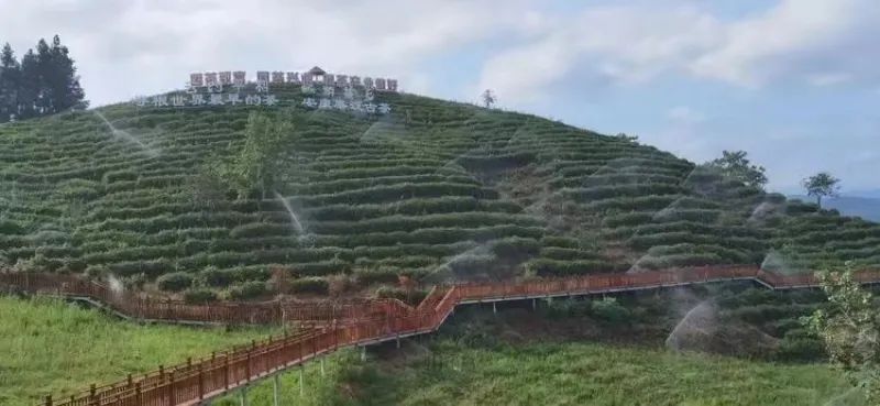 关于平利县蒋家坪村上榜中国美丽休闲乡村的最新消息(3)