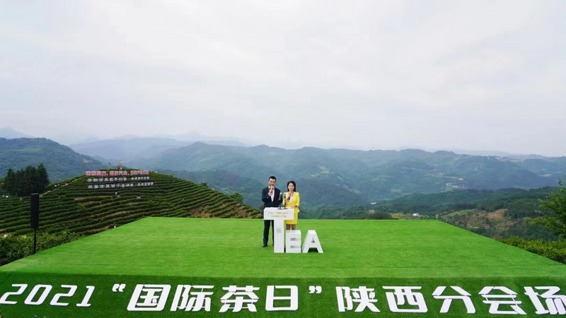 关于平利县蒋家坪村上榜中国美丽休闲乡村的最新消息(2)
