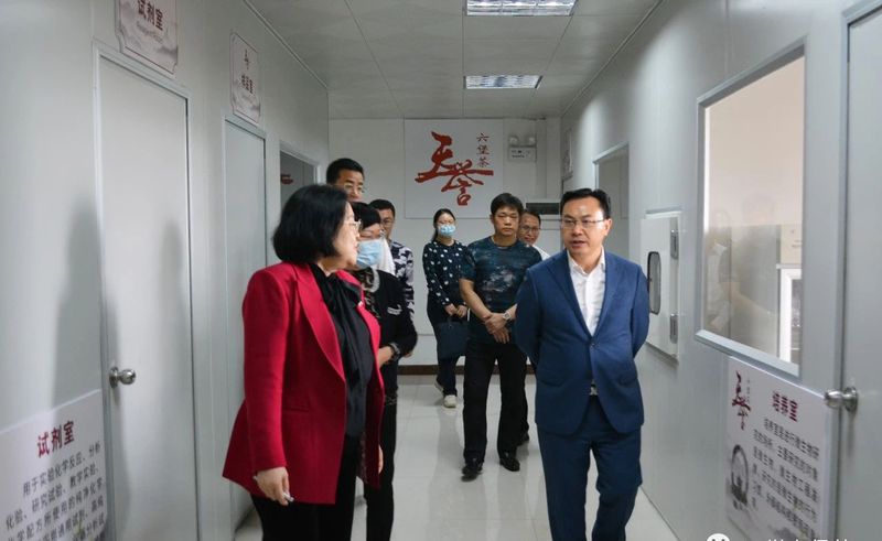 关于院士领航,以科技创新助推六堡茶新发展的信息(4)