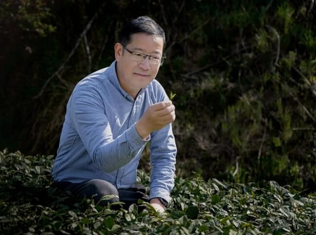 有关于“国茶人物·制茶大师”第七批推选结果揭晓，山东1人上榜的资讯(1)