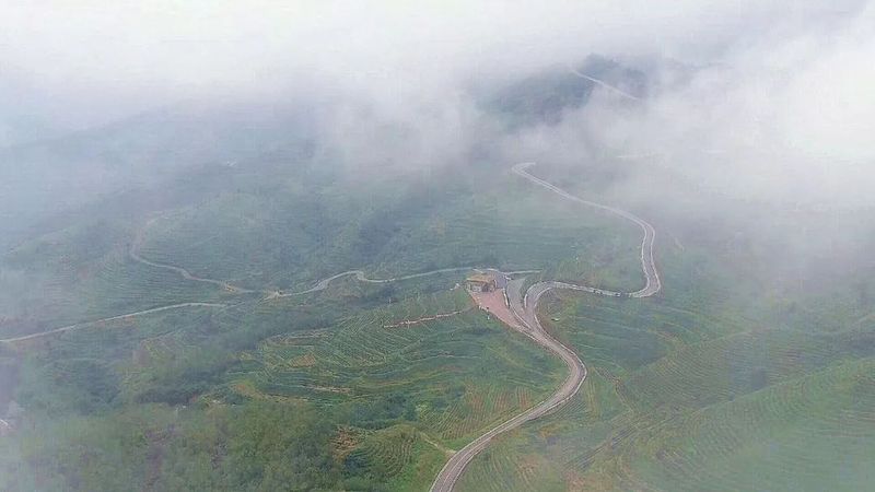 关于普安：18.3万亩茶园全面开启“冬管”模式 助力春茶采收提质增效的信息