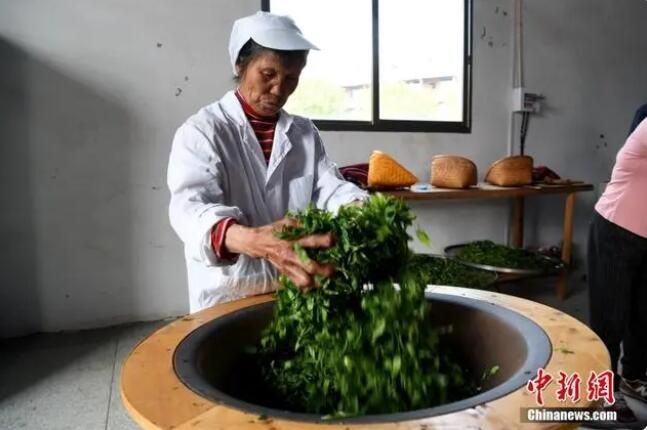 关于中国传统制茶技艺申遗成功 专家:推动茶文化守正创新的相关信息(1)