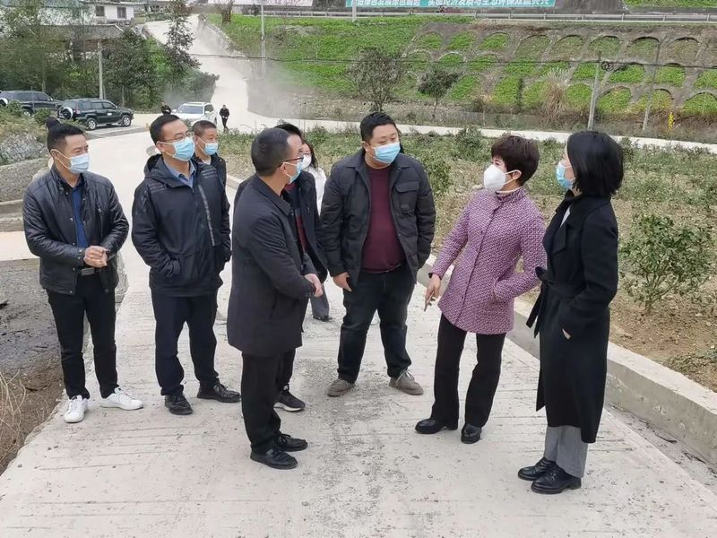 有关于刘素英副市长到木鱼镇调研“白叶一号”茶产业的新闻