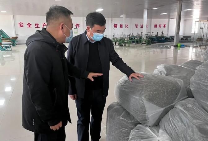 关于安康市农业农村局调研指导茶产业发展工作的内容