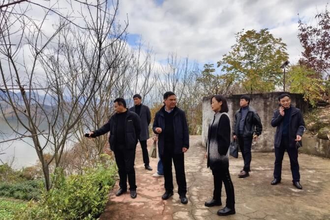 关于安康市农业农村局调研指导茶产业发展工作的内容(2)