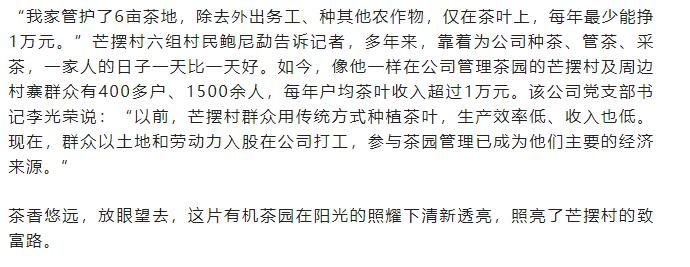 有关于沧源:小茶叶“变身”富民产业铺就乡村振兴路的相关信息(3)