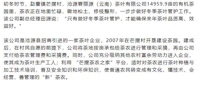有关于沧源:小茶叶“变身”富民产业铺就乡村振兴路的相关信息(1)