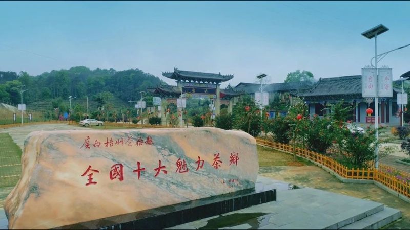 有关于以六堡茶品牌为航母 打造龙头企业集群发展的战斗力以六堡茶品牌为航母的内容(4)