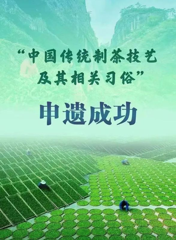 关于“蒙山茶、南路边茶传统制作技艺”成功入选世界非遗!的新闻