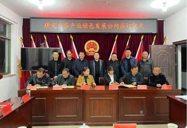 关于休宁县璜尖乡:专家把脉茶产业发展的消息
