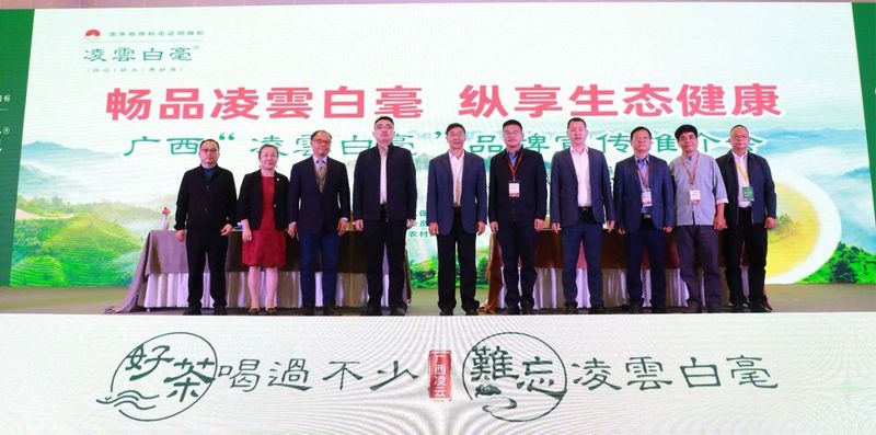 有关于做大做强茶产业|第十二届南宁茶博会、第二届广西茶文化节圆满闭幕！的信息(4)