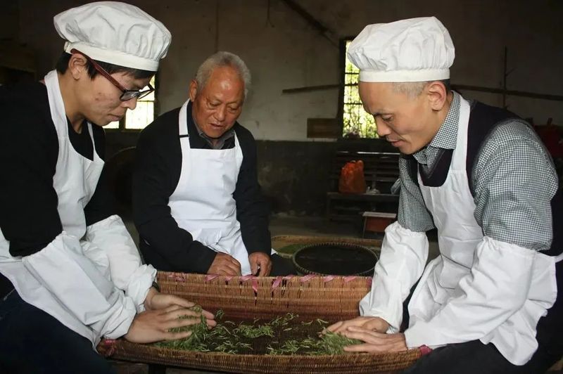 关于“中国传统制茶技艺及其相关习俗”列入人类非物质文化遗产代表作名录的相关内容(6)