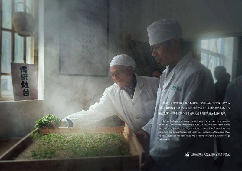 关于人类非遗!恩施玉露入列!的资讯