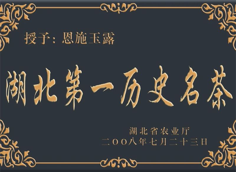 关于人类非遗!恩施玉露入列!的资讯(4)