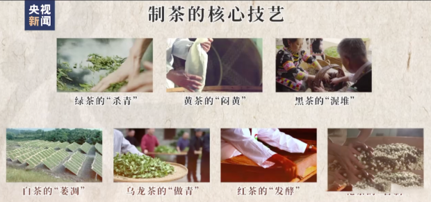有关于“中国茶”申遗成功!广西六堡茶制作技艺、瑶族油茶习俗入列!的信息