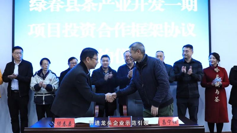 有关于哈尼族与茶的相关信息(5)