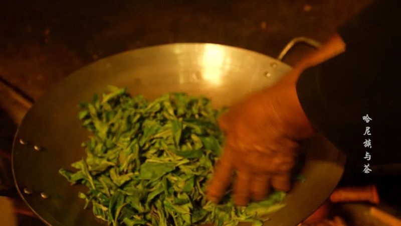 有关于哈尼族与茶的相关信息(2)