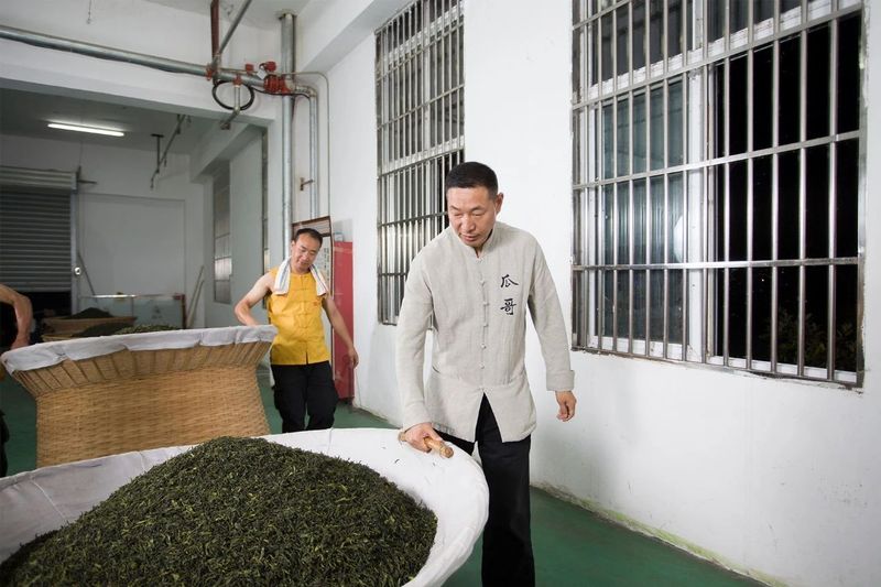 有关于“六安瓜片制作技艺”成功入选人类非遗！的最新消息(4)