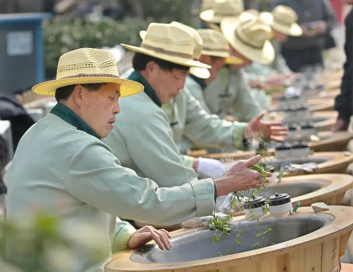 关于为什么是浙江?回望浙江牵头“中国传统制茶技艺及其相关习俗”申遗之路的信息(4)